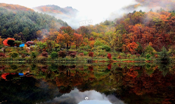 ¹æÅÂ»ê ´Üdz Àý°æ