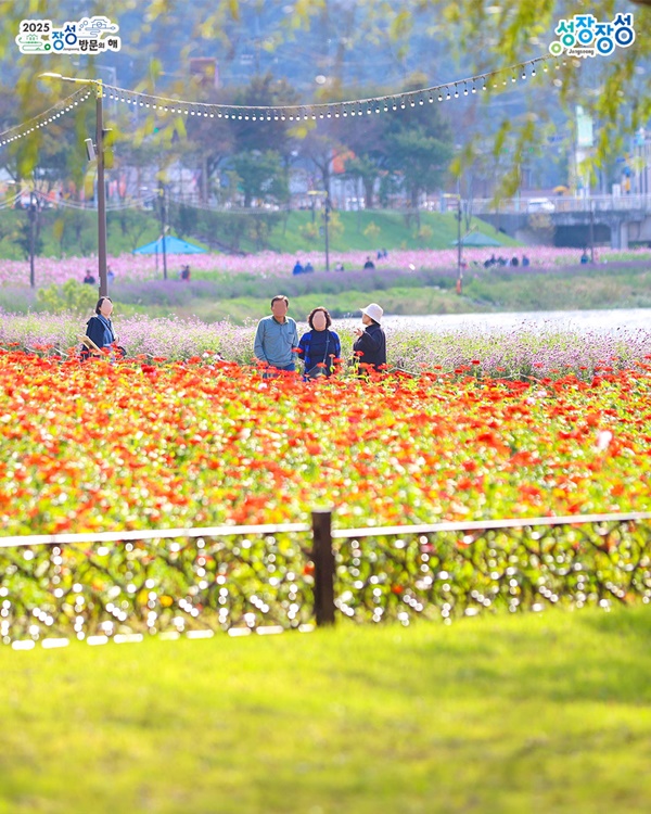 ÇüÇü»ö»ö ¸¶Áö¸· °¡À»²É