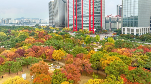 ¿©Àǵµ°ø¿øÀÇ °¡À»