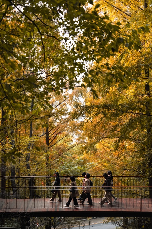 »¡°²°Ô ¿Ê °¥¾ÆÀÔ´Â ³²»êÇϴý£±æ