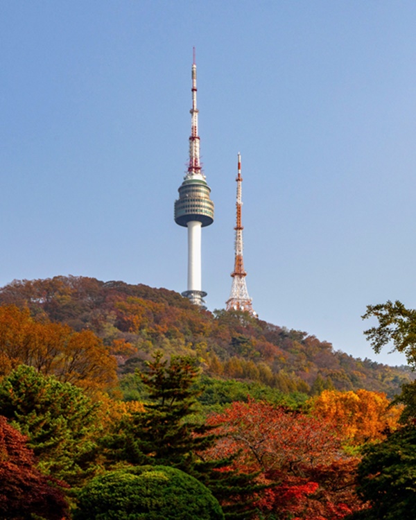 ¼¿ï ´Üdz ¸í¼Ò