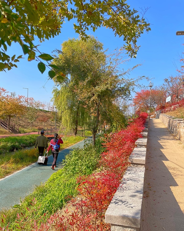 ÀåÁöõÀÌ ¼öº¯Á¤¿øÀ¸·Î