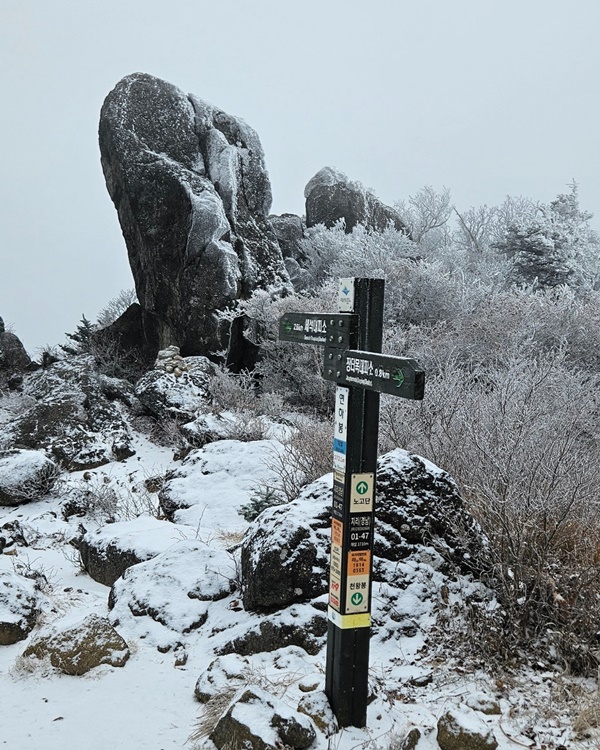 ÇϾé°Ô ÇÇ¾î³ Áö¸®»ê ù´«°ú »ó°í´ë