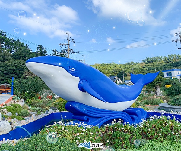 Èæ»êµµ °í·¡Á¤¿ø