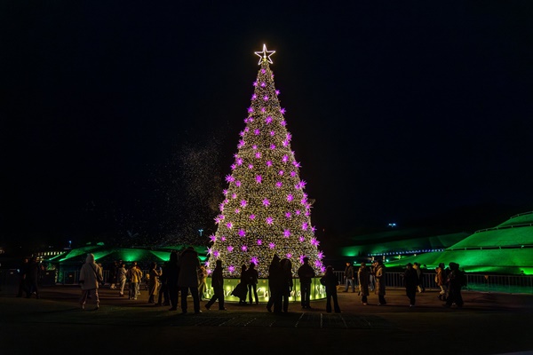 ũ�������� ��Ÿ���翡�� ������!