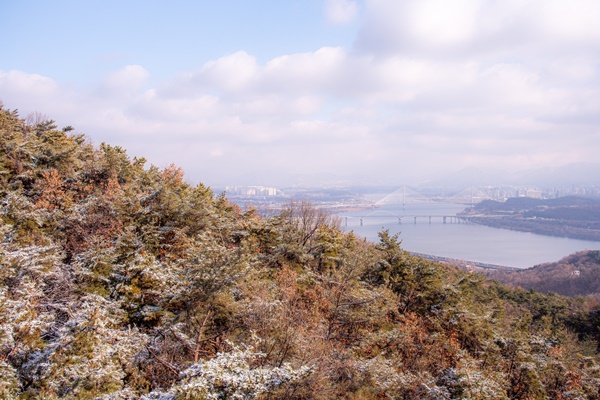 �����ǽ� ������