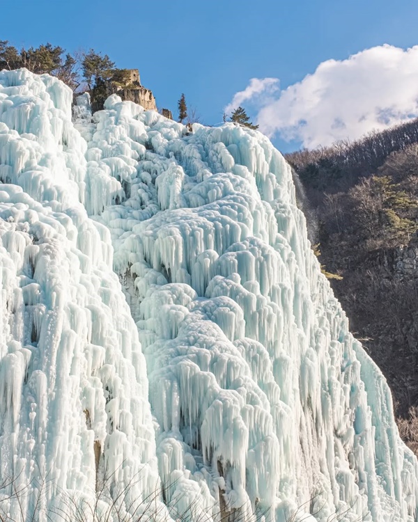 ���� ���� ���� 3��