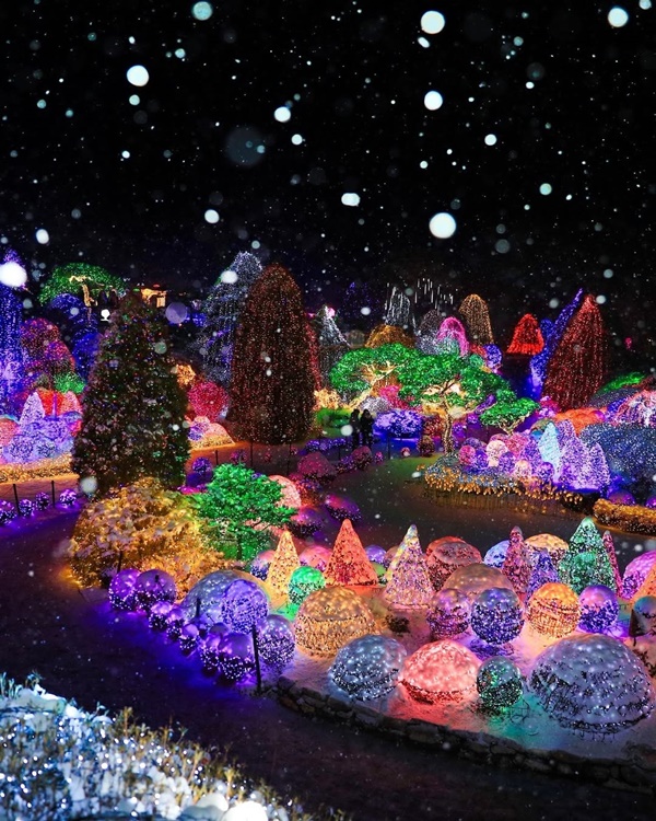 2025 ��ħ�������� ��������������