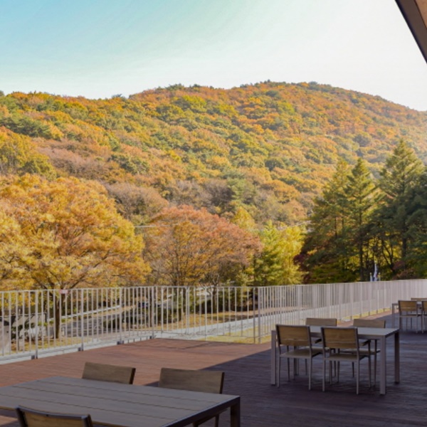 �������Ž��� ����