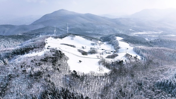 ������ ���� ���ڷ�