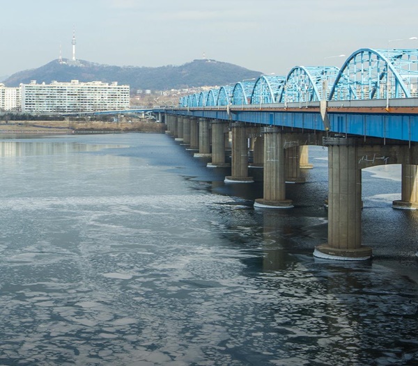 ���� �������Ǻ� �߷�, �ָ����� ������ ����