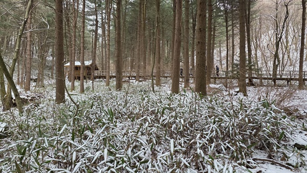 �ܿ� �� ����û�»��ڿ��޾縲