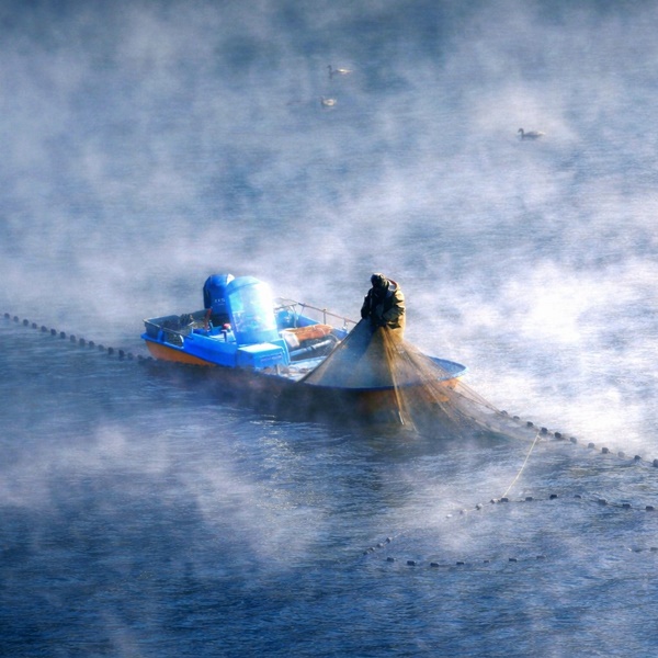 ������ �Ҿ�ȣ ���� �Ѱܿ� ǳ��