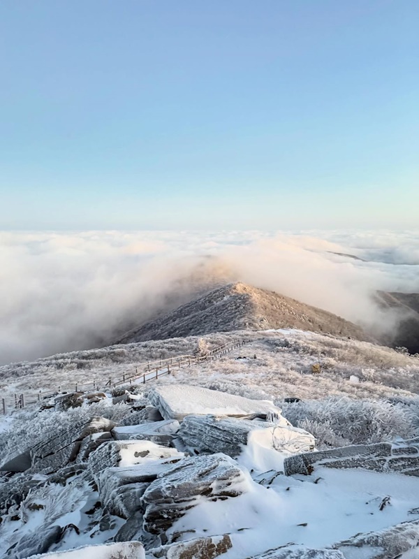 �Թ�� �����