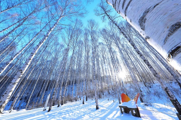 ���� ���븮 ���۳�����