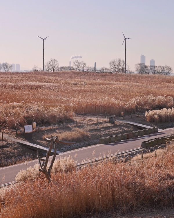 �����Ű��� �ϴð���