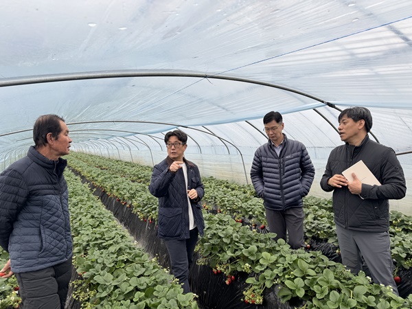 ���츮 ���̵� �޽�, ��� ����������?��