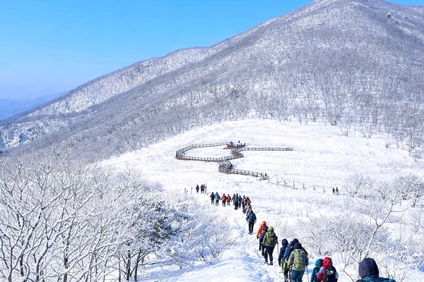 �ܿ� ��������� ������ ����