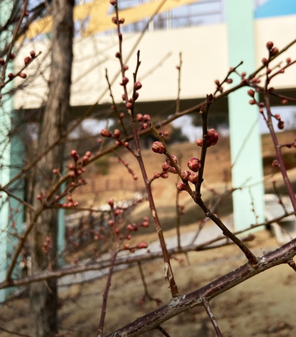 ��ȭ(����) �߾�(ۡ�)