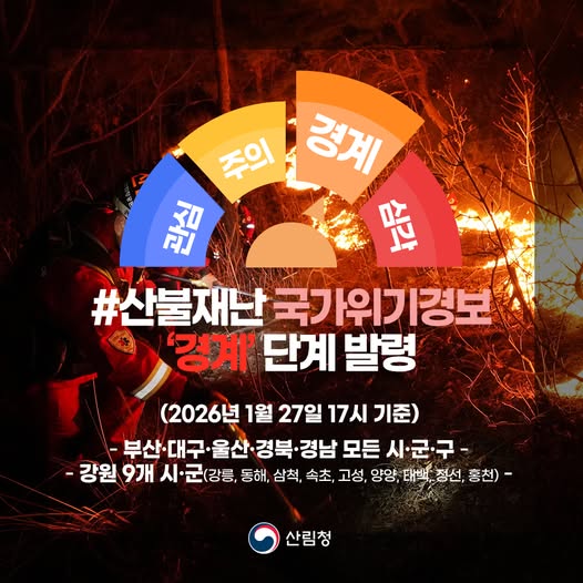 �긲û, ����糭 ��������溸 ��� �߷�