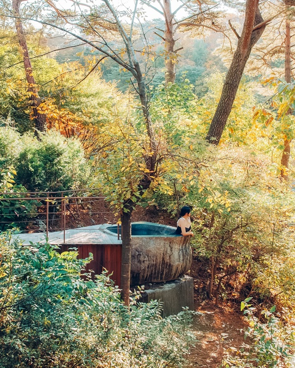 �ܿ��õ 3��