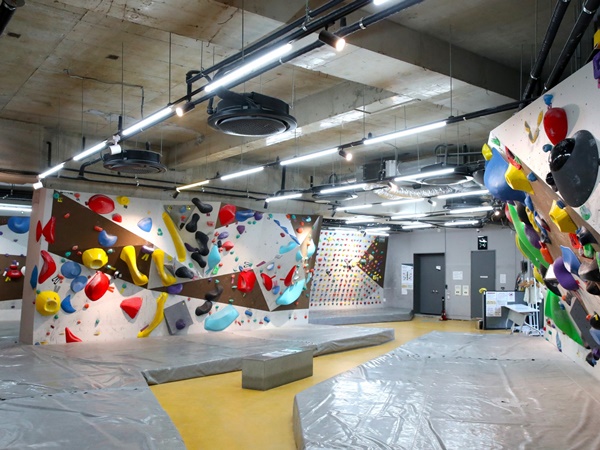 ��ǹ�ȭü�輾�� ������ ����