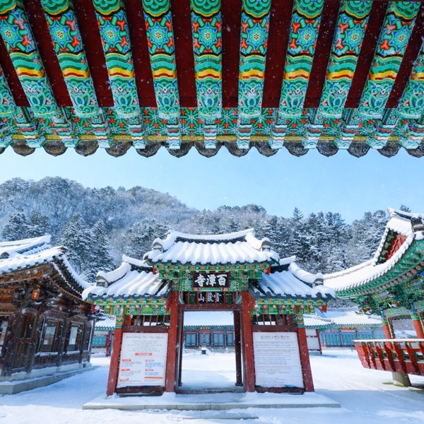 ������ ���� ����