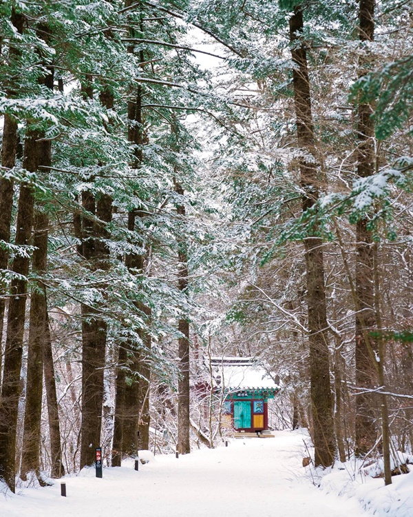 �Ƹ��ٿ� �ܿ� ����