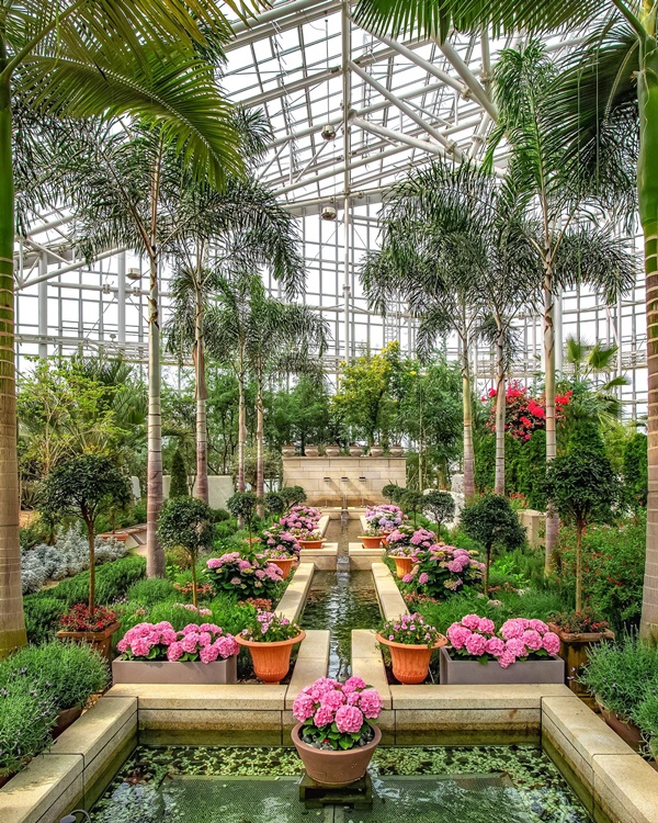 �ܿ� ���� �׸�, �ǳ� �Ĺ���