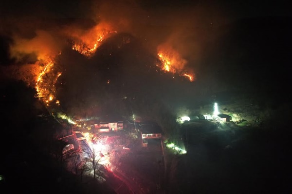 ���� ���