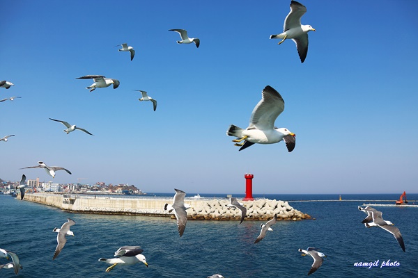 �ֹ����� ���ű�