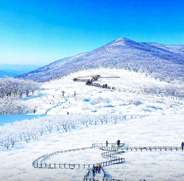 ���� ���� ����(����) ����