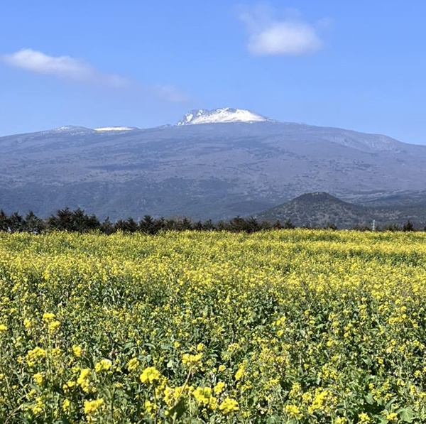 ���� �� ��ä��