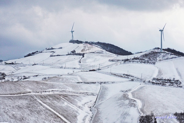 ���� �ȹݵ��� ���� ����