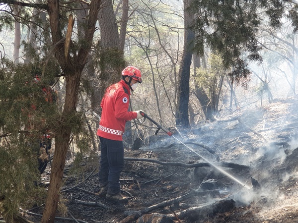 �泲 �Ծ� �ֺ� ��ȭ �Ϸ�