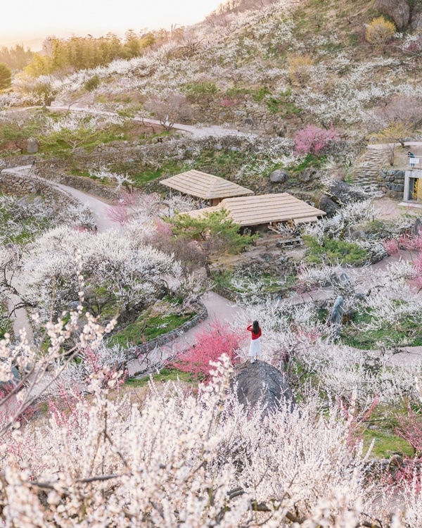 ���� ��ȭ