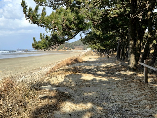 ��õ�� �ҳ�����', �¾��� ����