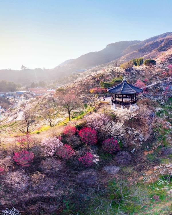 ¼³·¹´Â ¸ÅÈ ½ºÆÌ