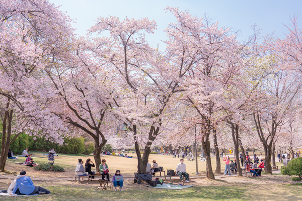 �����̴����, ������ ������ 8�� ���� 800���� ����!