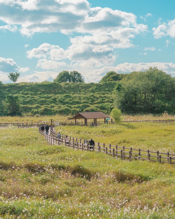 �뱸 ���� ����