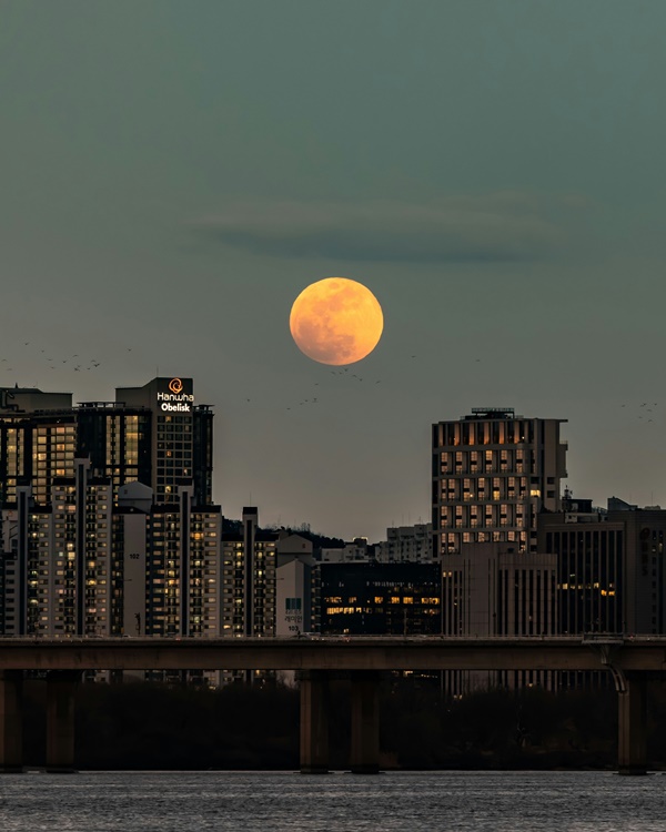 �����뺸��, �������