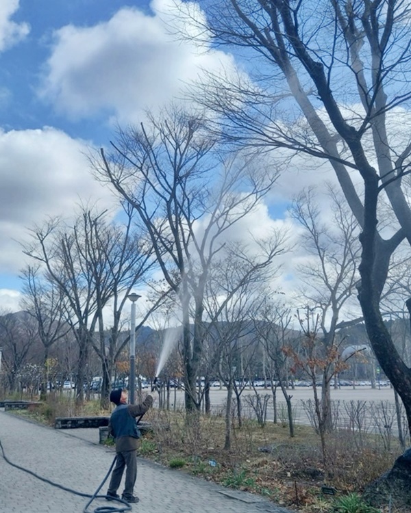 ���������� �� �غ�