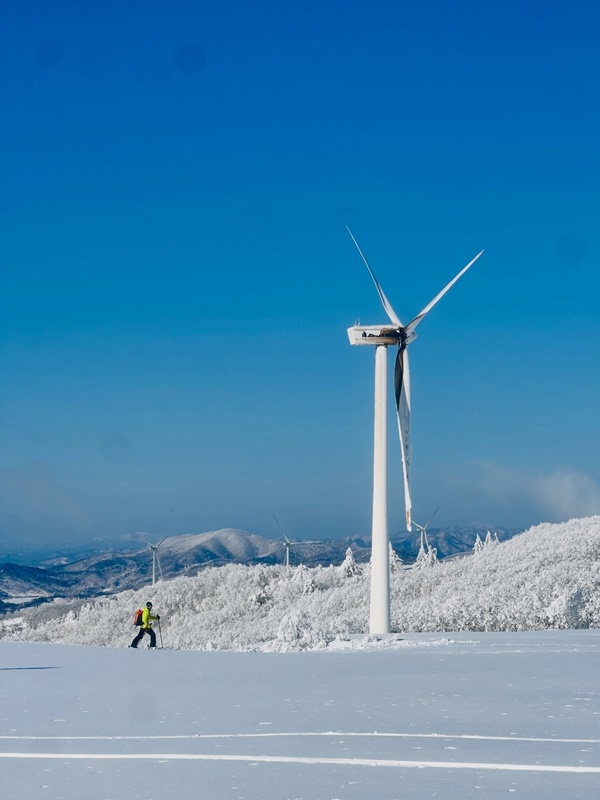 �� ���� ���� ��â