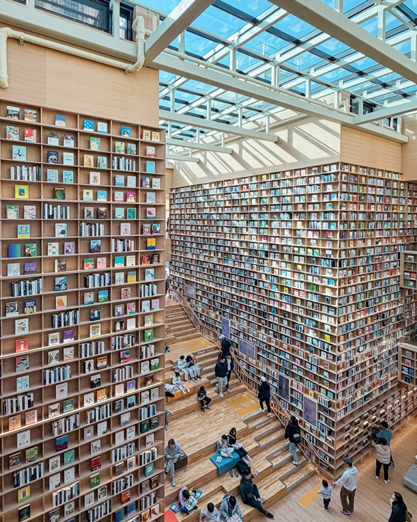 �۵�����������