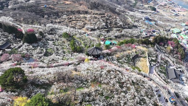 ����  ��ȭ ����(ػ��)