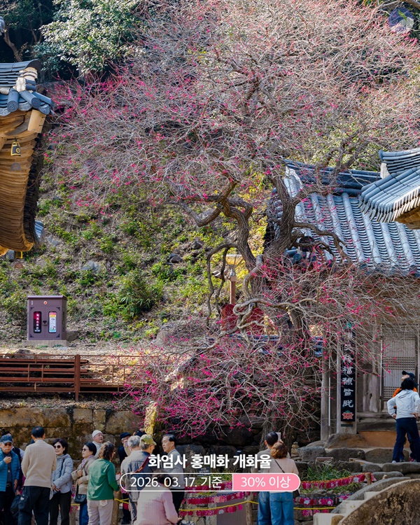 ȭ���� ȫ��ȭ