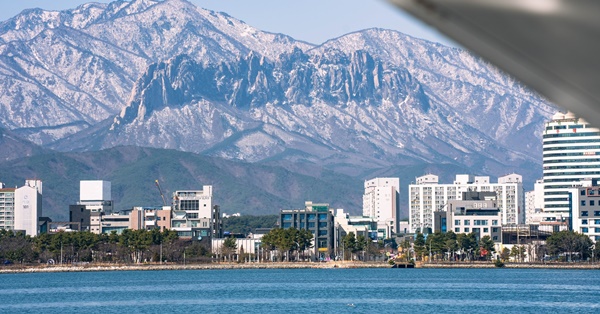 ������  ���ǻ� ����(����)