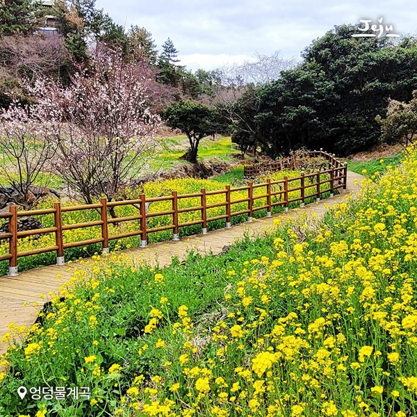 ��28ȸ ������ ��ä�� �����ȱ��ȸ