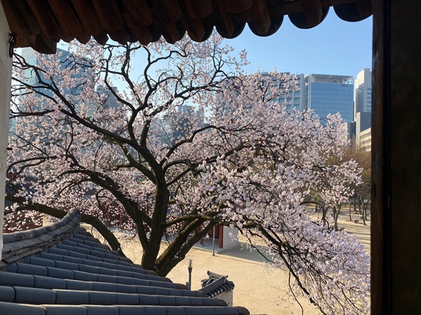 ´ö¼ö±Ã ÁÖ¿ä Àü°¢ ³»ºÎ Ưº°°ü¶÷