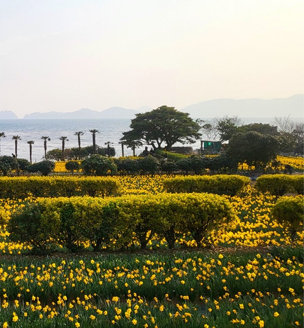 �ѷ��ػ󱹸����� �� ������